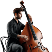 Double Bass Player
