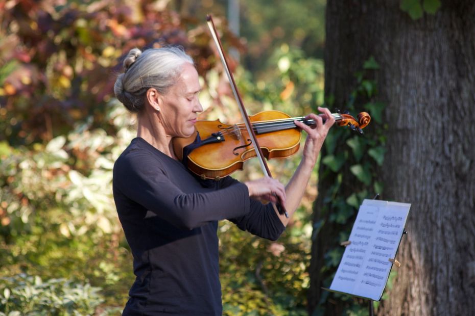 Find the Best Violin for Beginners: A Complete Buying Guide